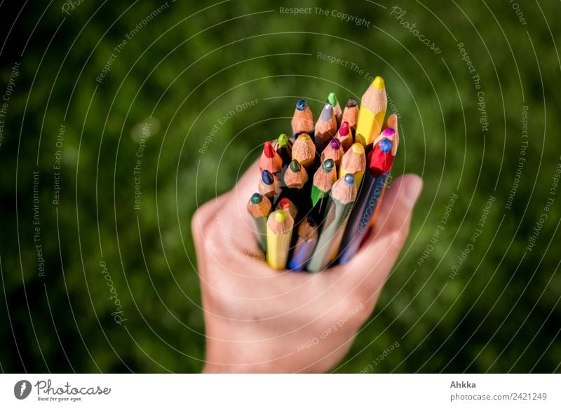 Variety, hand with coloured pencils against a green background Education Adult Education Kindergarten School Study Professional training Apprentice
