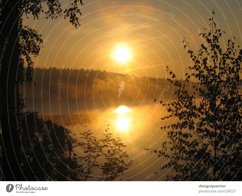 Sweden - pure nature Sunset Reflection Water reflection Tree Twilight Fog Lake Colouring Horizon Dazzle Sunbeam Calm Leaf Fir tree Forest Nature