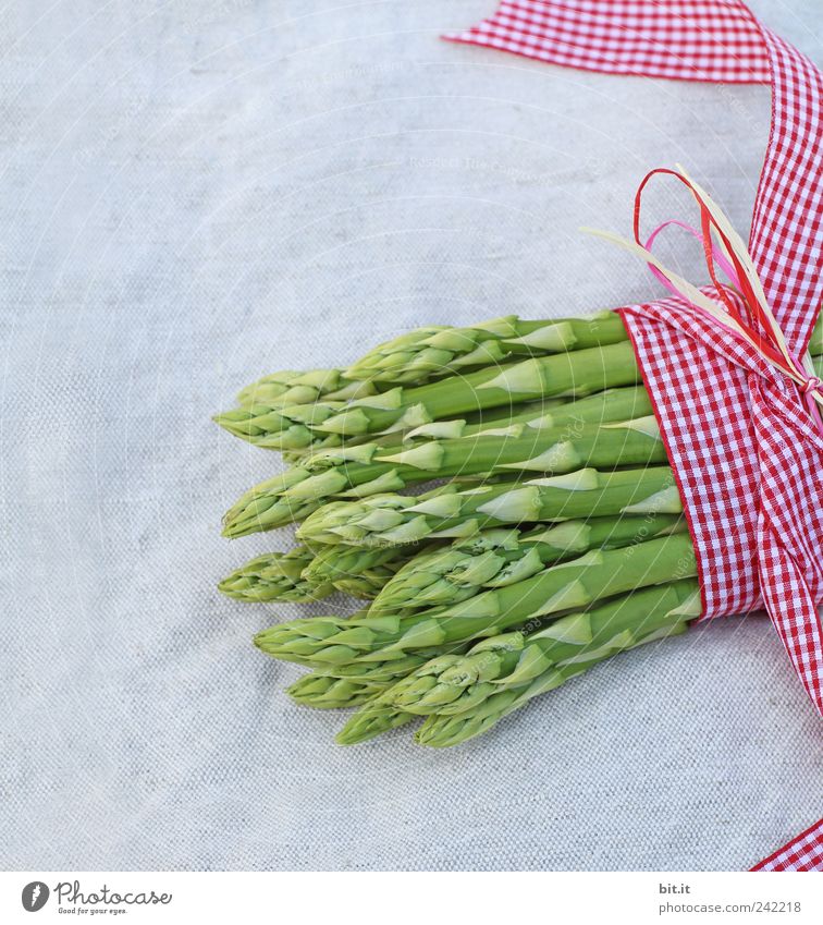 A portion of green asparagus, freshly harvested from the local field, decorated with a plaid ribbon of cloth, tied together, lies in the light on the table, on a white cloth of linen.