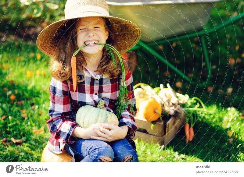 happy funny child girl in farmer hat and shirt Vegetable Lifestyle Joy Happy Child Girl Nature Autumn Growth Fresh Small Funny Natural Green Harvest Carrot