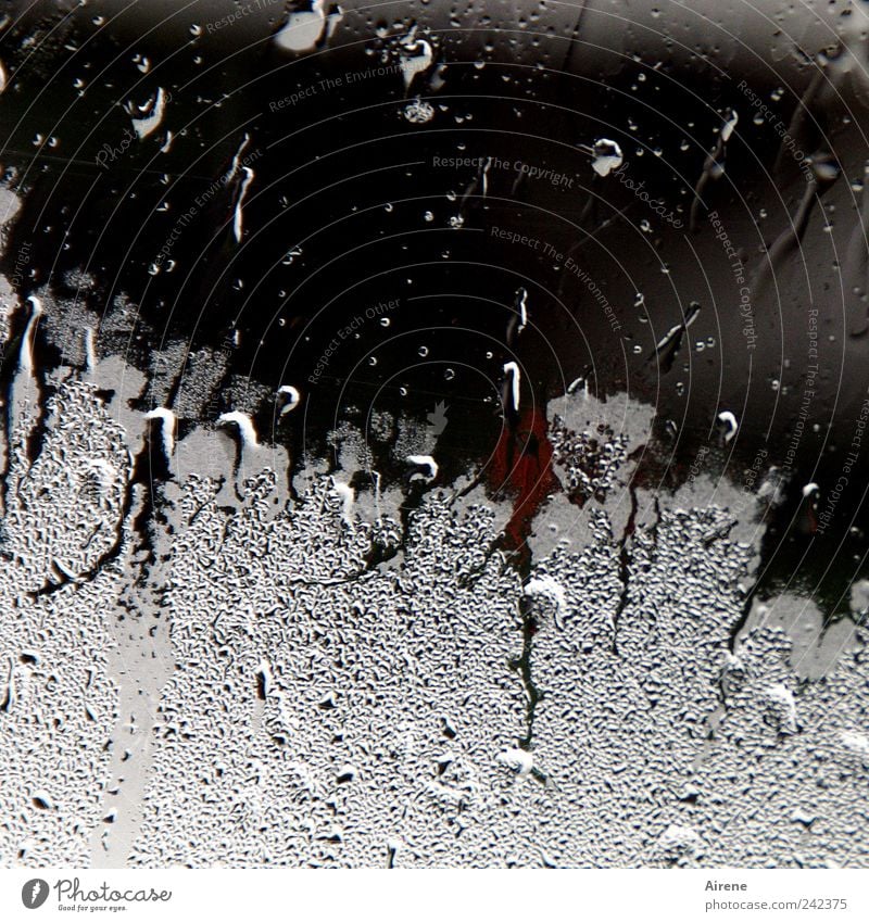 It's raining outside Elements Water Drops of water Weather Bad weather Rain Deserted Window Glass Dark Wet Red Black White Surrealism Subdued colour