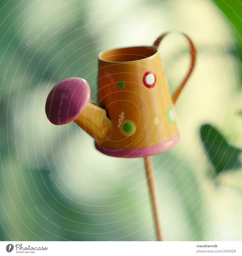 jug Decoration Metal Small Cute Jug Watering can Miniature Cast Gardening equipment Broomstick Blur Orange Colour photo Close-up Detail Deserted