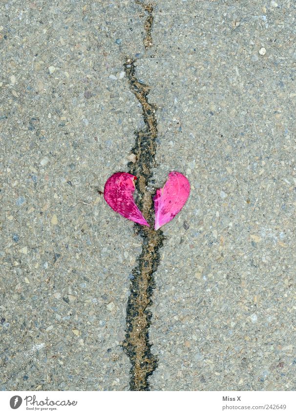 broken heart Stone Emotions Infatuation Lovesickness Divide Divorce Heart Heart-shaped Crack & Rip & Tear Broken Concern Sadness Red Pink Blossom leave