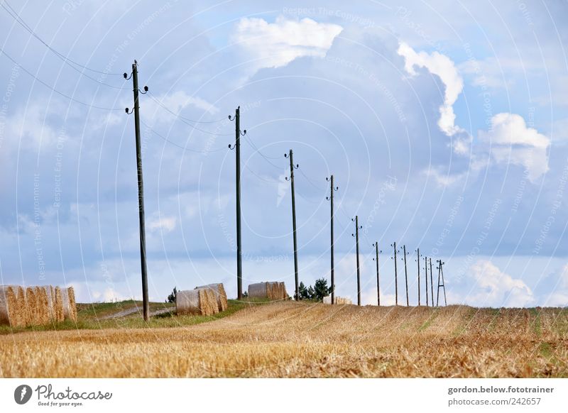 Power pylons I Grain Summer Technology Energy industry Energy crisis Environment Landscape Sky Clouds Storm clouds Climate change Beautiful weather Field
