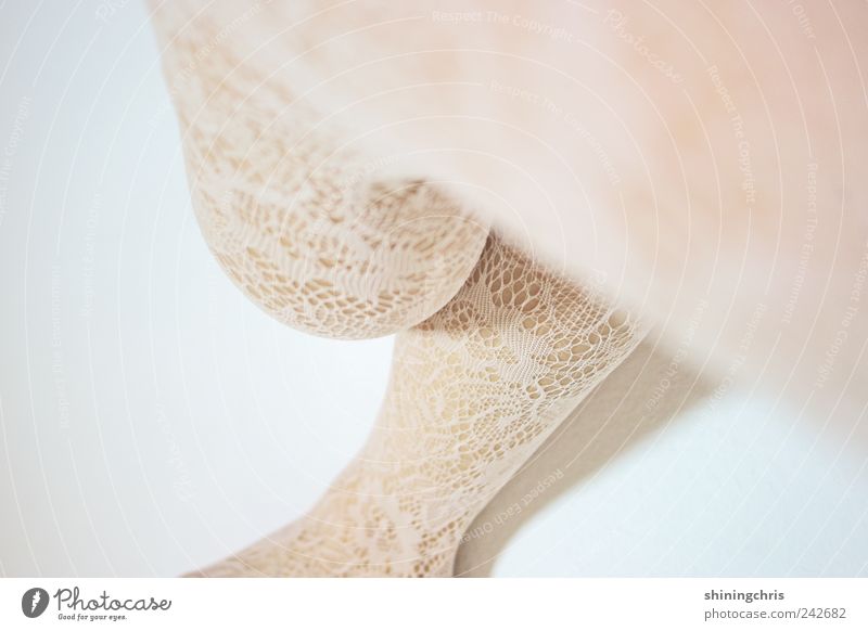 slow Beautiful Feminine Legs 1 Human being Fashion Tights Lace Sit White Trust Romance Contentment Revolt Surrealism Rotate Subdued colour Interior shot