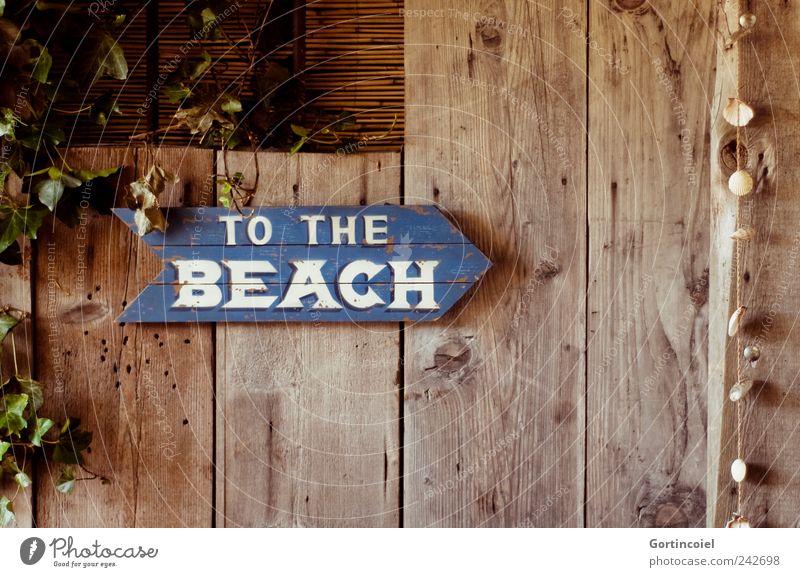 To the beach Wood Characters Signs and labeling Signage Warning sign Retro Texture of wood Wooden sign Mussel Colour photo Exterior shot Structures and shapes