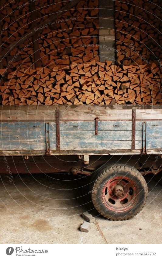 Firewood stacked behind old agricultural trailer Trailer firewood store Firewood Stack Agriculture Forestry heating material Wood Renewable raw materials