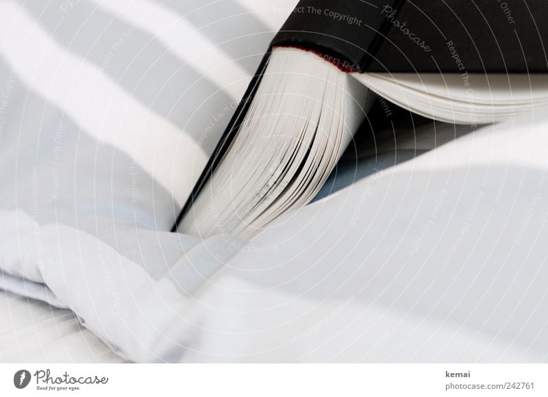 Reading in bed Flat (apartment) Decoration Bed Bedclothes Book Lie Authentic Gray Black White Relaxation Leisure and hobbies Striped Struck Open Colour photo