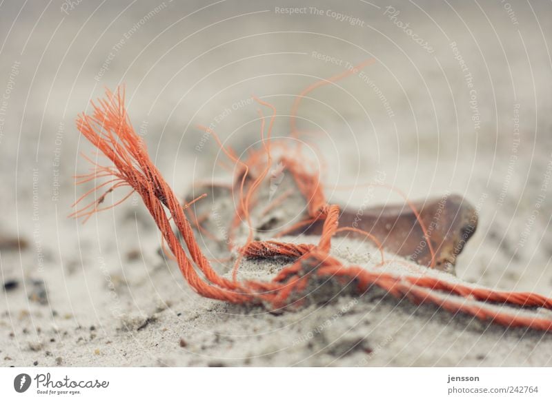 the mouse bit off the thread Environment Nature Sand Beach String Lie Old Broken Environmental pollution Flotsam and jetsam Trash Rope Find Discovery Orange