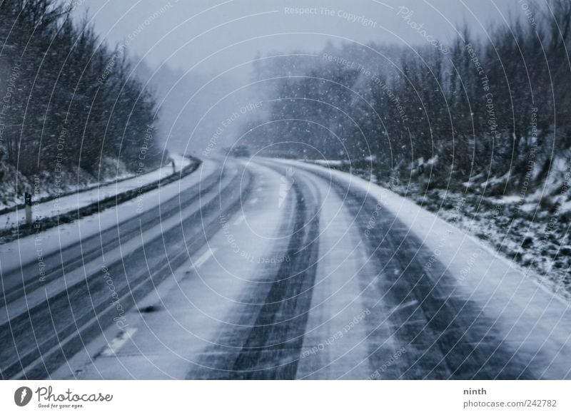 cold winter´s day snowstorm Winter Snow Winter vacation Gale Fog Ice Frost Snowfall Transport Traffic infrastructure Road traffic Motoring Street Car Driving
