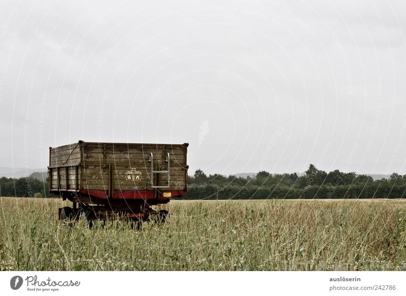 lonely wagon Environment Nature Landscape Plant Earth Sky Clouds Weather Bad weather Rain Agricultural crop Canola Canola field Oilseed rape cultivation Field