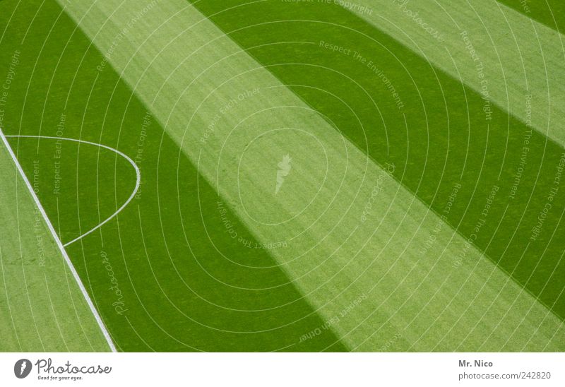 \\\\\ Sports Ball sports Sporting Complex Sporting event Football pitch Stadium Grass Meadow Green Geometry Line Stripe Striped midfield Penalty area 16
