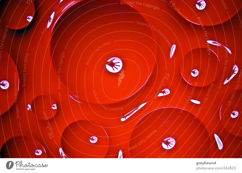 bubbles Wallpaper Fingers 1 Human being Art Red Colour photo Multicoloured Interior shot Close-up Detail Experimental Abstract Pattern Light Contrast
