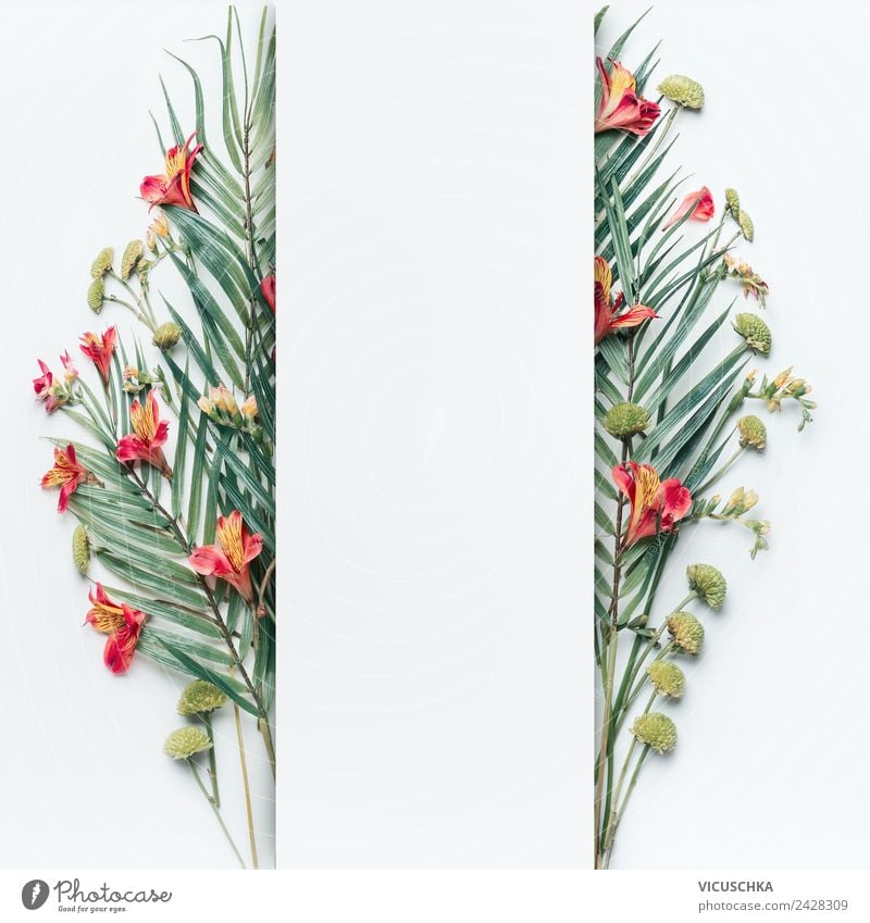 Palm leaves and tropical flowers frame on white Style Design Summer Nature Plant Flower Leaf Blossom Decoration Ornament Flag Hip & trendy Conceptual design