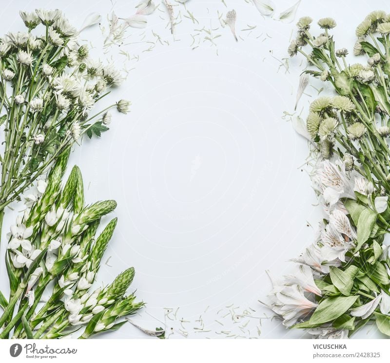 Green white flowers on white background Shopping Design Feasts & Celebrations Mother's Day Wedding Birthday Business Nature Plant Flower Decoration Bouquet