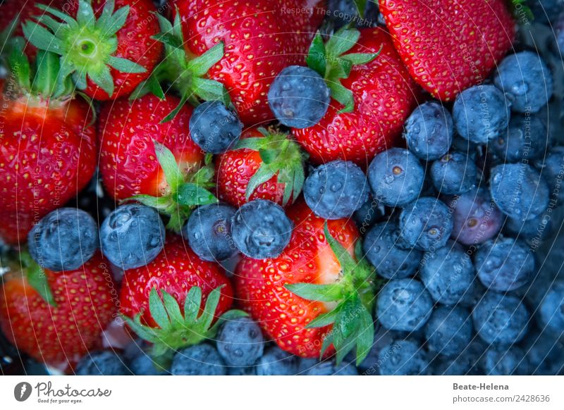 Strawberry Blueberry Fruit Selection Food Dessert Candy Lifestyle Healthy Well-being Nature Agricultural crop Diet Eating To enjoy Fantastic Fresh Sweet Green