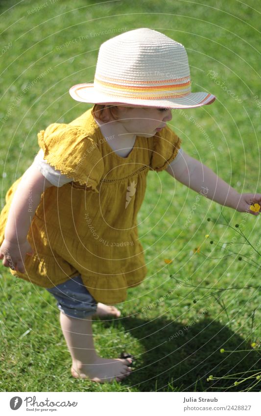 girl toddler hat garden barefoot Feminine Toddler Girl 1 Human being 1 - 3 years Summer Beautiful weather Meadow Pants Dress Hat Touch Yellow Green Contentment