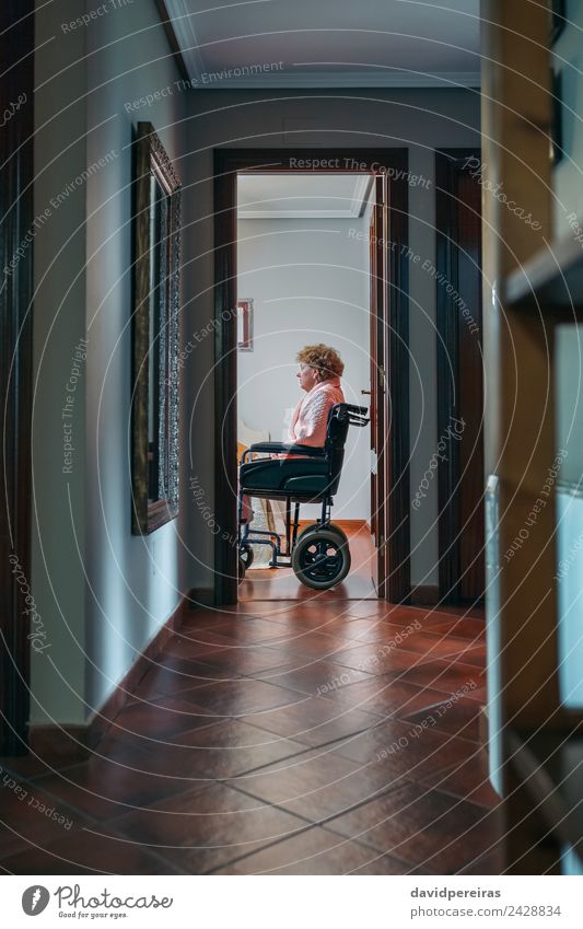 Side view of old woman in wheelchair Lifestyle Health care Illness Medication Relaxation Chair Hospital Retirement Human being Woman Adults Old Sit Sadness