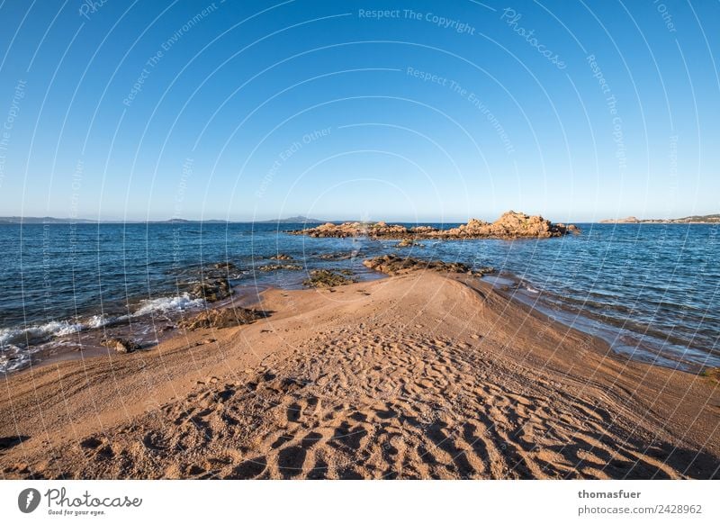 Sardinia headland (north), sea Vacation & Travel Tourism Trip Freedom Summer Summer vacation Sun Beach Ocean Island Waves Landscape Cloudless sky Horizon