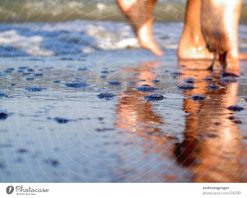 Beach perspective2 Ocean Reflection Vacation & Travel Style Lifestyle Moody Perspective Human being Water Feet Andreas Gregor Partially visible