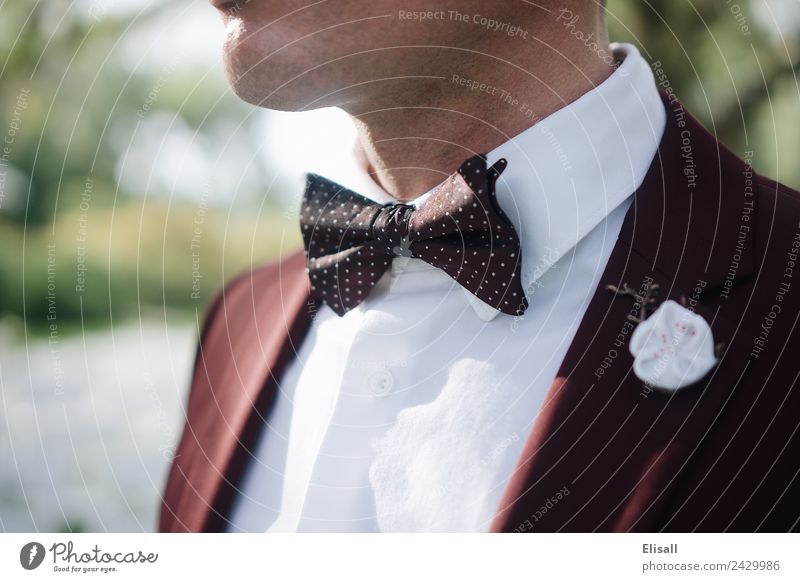 Man in suit wearing a bowtie Lifestyle Luxury Elegant Personal hygiene Human being Masculine Young man Youth (Young adults) Adults 1 Fashion Clothing Bow tie