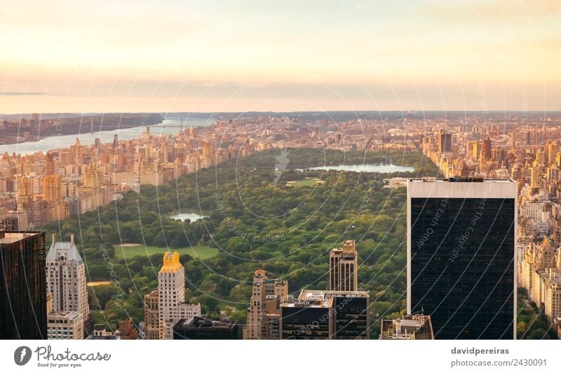Aerial view of Central Park in Manhattan Relaxation Vacation & Travel Tourism Sightseeing Summer Landscape Sky Downtown Skyline High-rise Building Architecture