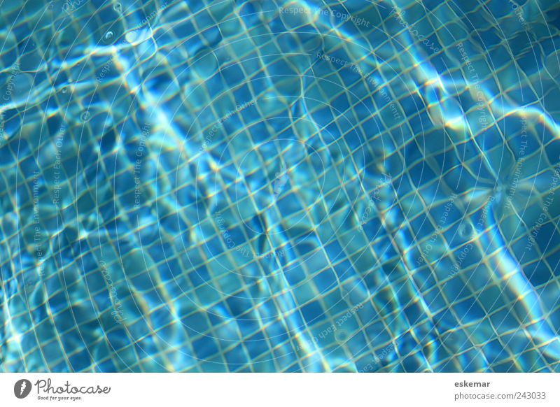 pool Joy Wellness Life Harmonious Well-being Relaxation Cure Spa Swimming & Bathing Summer Swimming pool Esthetic Authentic Fresh Wet Clean Blue