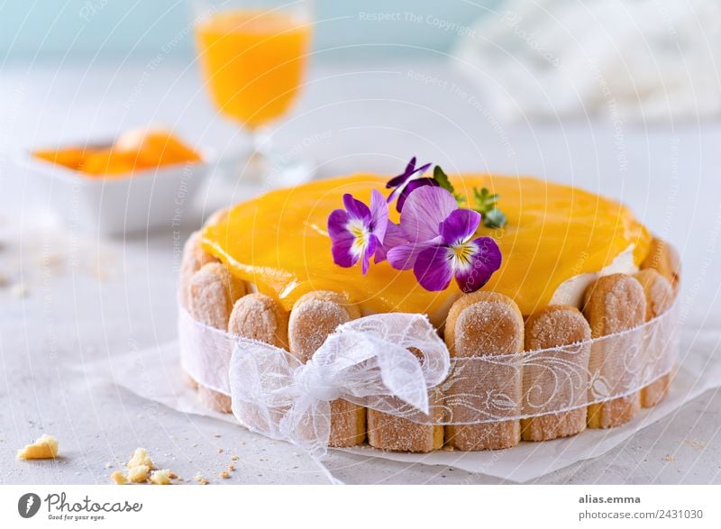 Passion fruit and peach cake Cake Gateau Baking Maracuja Peach Orange Summer Refreshment Baked goods Dessert ladyfinger biscuit Sweet Bakery shop confectionery