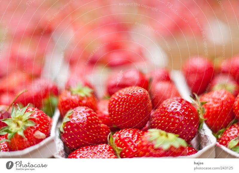 strawberries Fruit Dessert Summer Agriculture Forestry Illuminate Delicious Juicy Many Red Strawberry Sweet Eating Domestic Markets Offer seasonal regionally