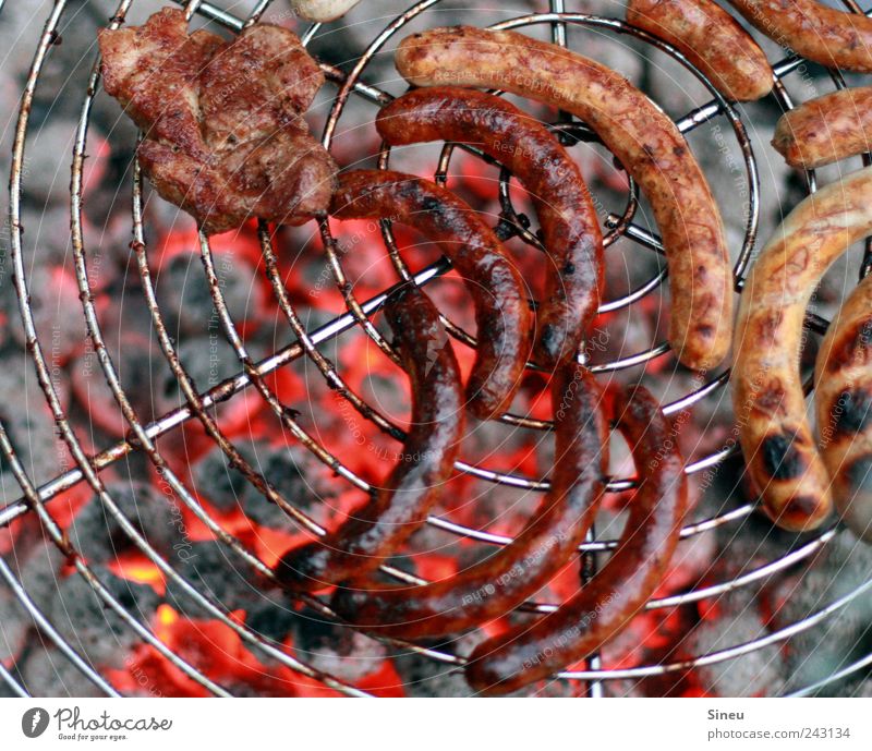 Poor sausage! Meat Sausage Small sausage Nutrition Lunch Dinner Barbecue (apparatus) Barbecue (event) Grill Charcoal (cooking) BBQ season Summer