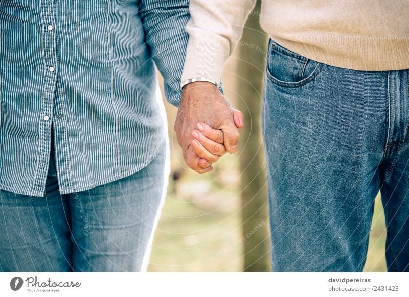 Senior couple holding hands over nature background Lifestyle Relaxation Leisure and hobbies Retirement Human being Family & Relations Couple Adults Hand Nature