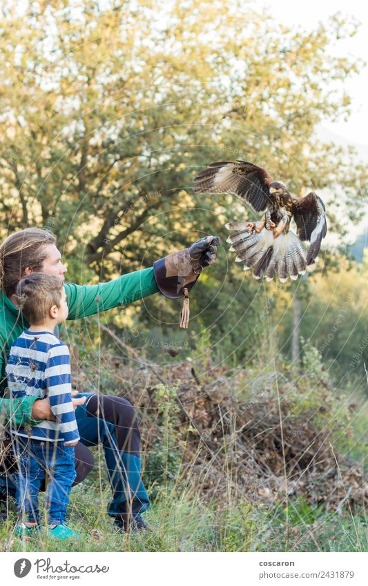 Man teaches boy the art of falconry with a hawk Eating Hunting Sports Child Baby Boy (child) Adults Nature Animal Leather Blonde Bird Wing Flying Feeding Wild