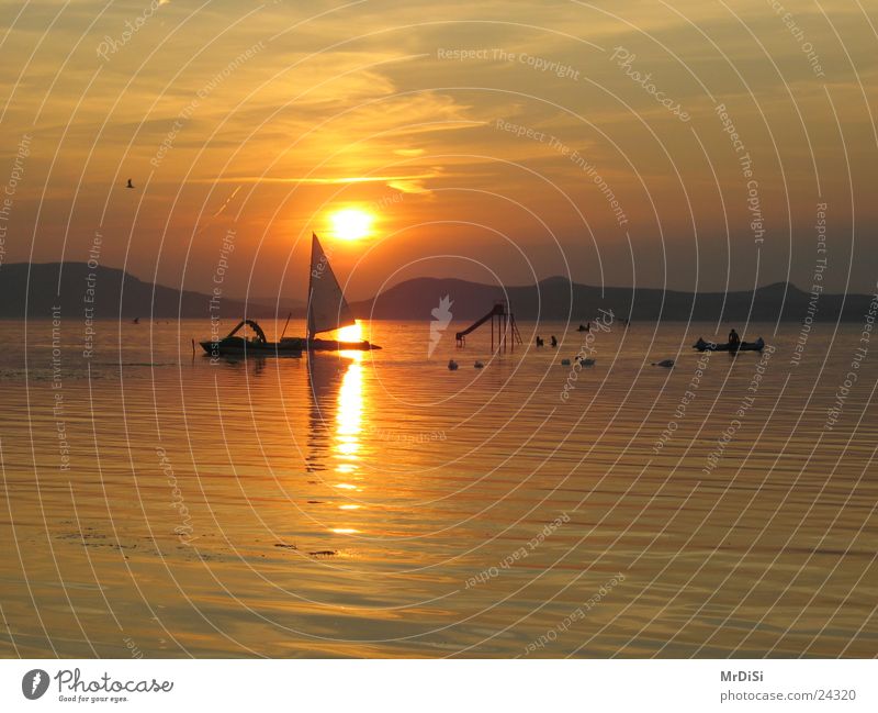 Evening mood at Lake Balaton Sunset Dusk Sailboat Hungarian Water