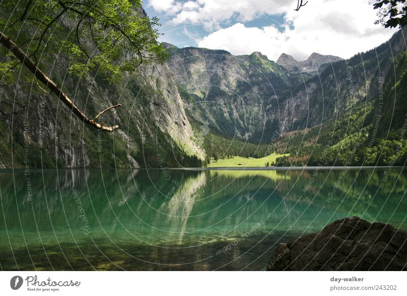 Landscape Königssee Nature Plant Animal Water Sky Clouds Summer Beautiful weather Hill Rock Alps Mountain Peak Lake Cold Blue Brown Green White rock walls