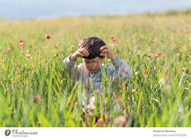 Boy in flowers Playing Boy (child) Infancy 1 Human being 1 - 3 years Toddler Flower Grass Emotions Joy field spring Wheat outdors poppies polen kid Playful