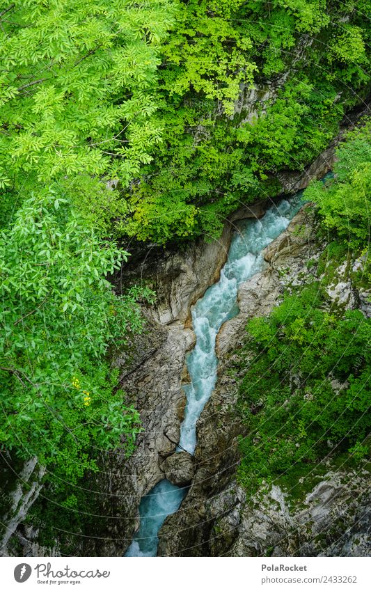 #S# White water gorge Environment Nature Threat Green Plant Nature reserve Natural phenomenon Whitewater Water Stone Rocky gorge Clamp Rapid Narrow