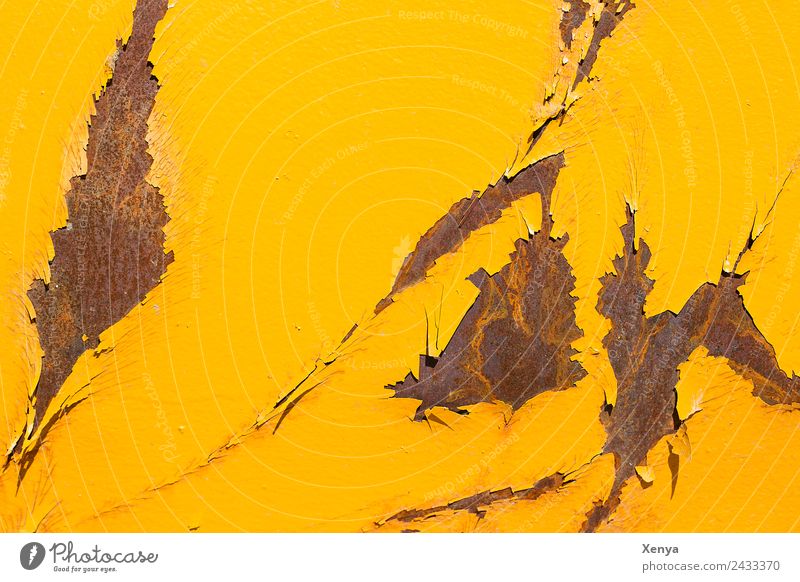 Yellow rust Wall (barrier) Wall (building) Metal Steel Rust Broken Brown Background picture Varnish Flake off Colour photo Exterior shot Abstract