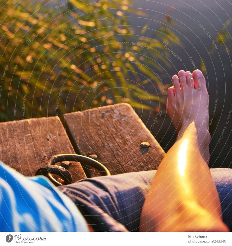 Relax Relaxation Vacation & Travel Trip Summer vacation Sunbathing Masculine Couple Legs Feet 2 Human being Sunrise Sunset To enjoy Evening sun Lake Lakeside