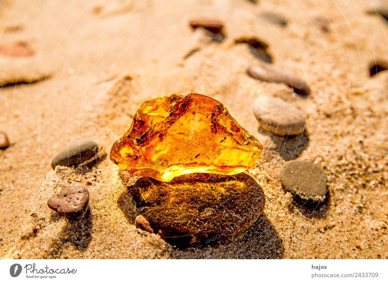 Amber at the Baltic Sea beach Juice Alternative medicine Beach Nature Sand Yellow Resin Old find Baltic region lithotherapy Precious stone mineral luminescent