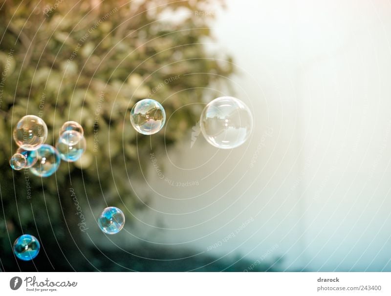 Flying around Air Garden Round Blue Yellow Gold White drarock Air bubble Floating Colour photo Deserted Flash photo Shallow depth of field