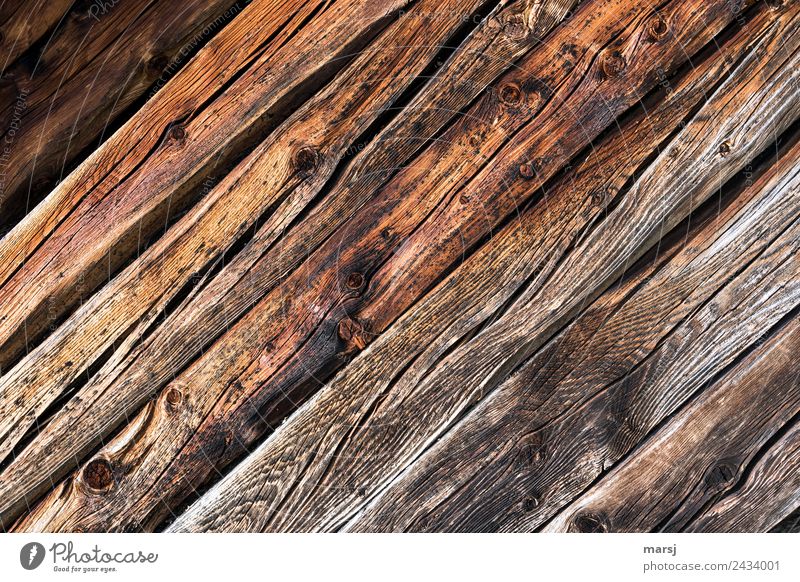 Together diagonally Wood grain Knothole Crack & Rip & Tear Diagonal Background picture Old Authentic Simple Sustainability Natural Original Brown Power