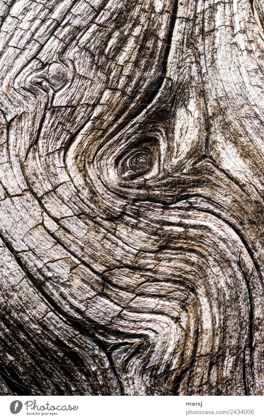 Elephant eye? Knothole Wood grain Crack & Rip & Tear Old Exceptional Dark Elegant Creepy Broken Natural Gloomy Brown Sadness Grief Pain Disappointment