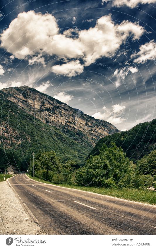 it's a long way Nature Landscape Air Sky Clouds Summer Beautiful weather Wind Tree Bushes Forest Rock Alps Mountain Peak Street Blue Gray Green Willpower