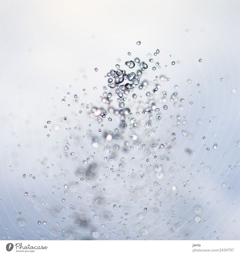 zippy Elements Water Drops of water Sky Beautiful weather Fluid Fresh Healthy Glittering Cold Wet Natural Blue Nature Colour photo Exterior shot Close-up Detail