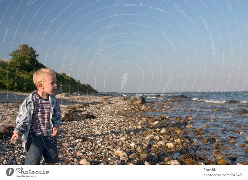 Child on the beach Beach Dusk Summer Ocean Man Boy (child) Water Baltic Sea Nature