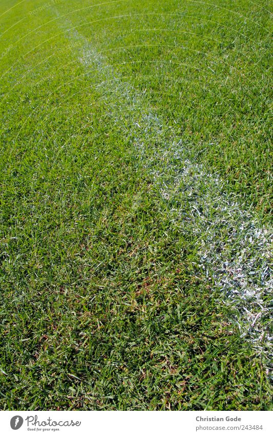 line accuracy Deserted Green White Soccer Football pitch Football stadium Stadium Lawn Meadow Grass surface Line Grassland Knoll Grass green Grass meadow