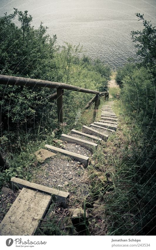 Stairs to lake II Environment Nature Landscape Water Plant Grass Bushes Park Forest Hill Coast Lakeside River bank Island Pond Blue Brown Green Descent Under