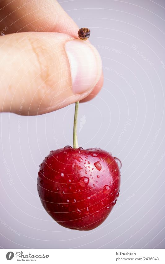 hold a cherry Food Fruit Organic produce Hand Fingers Eating To hold on Fresh Healthy Sweet Red To enjoy Cherry Drops of water Mature Harvest Fruity