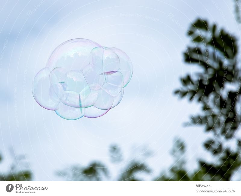 UFO Soap bubble Tree Sky Multicoloured Reflection Connectedness Round Flying Clouds Deserted Air bubble