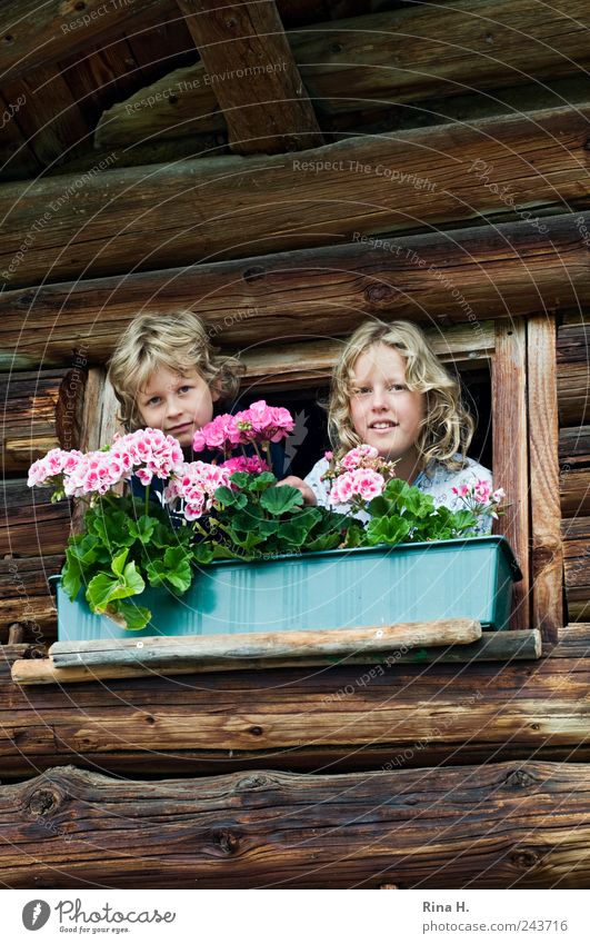 cheerful to cloudy Lifestyle Vacation & Travel Human being Girl Boy (child) Brothers and sisters Infancy 2 8 - 13 years Child Summer Pot plant Wooden hut Facade